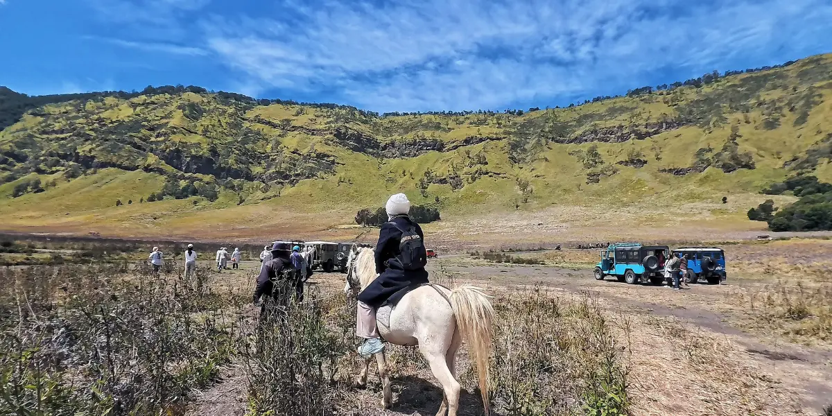 HIKING – GUNUNG BROMO & SAVANA 4