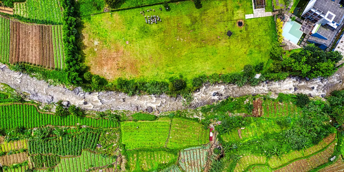 TRIP CAMPING – GUNUNG BOGOR 3